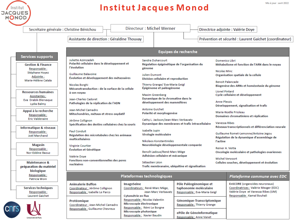 Organigramme Jolimont