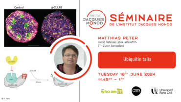 IJM Seminar – Matthias Peter – 18/06/2024