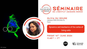 Séminaire IJM – Olivia de Roure – 14/06/2024