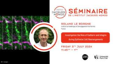 IJM Seminar – Roland Le Borgne – 05/07/24