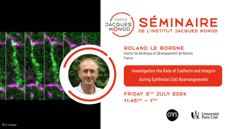 IJM Seminar – Roland Le Borgne – 05/07/24
