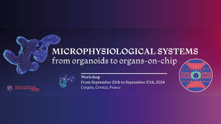 Microphysio24: From organoids to organs-on-chips