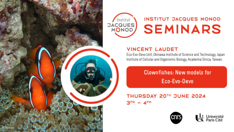 IJM Seminar – Vincent Laudet – 20/06/2024