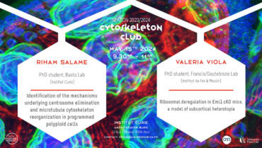 Cytoskeleton Club – 19/06/2024